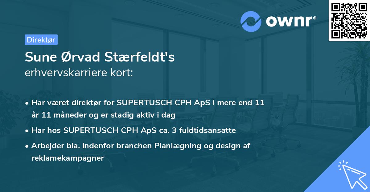 Sune Ørvad Stærfeldt's erhvervskarriere kort