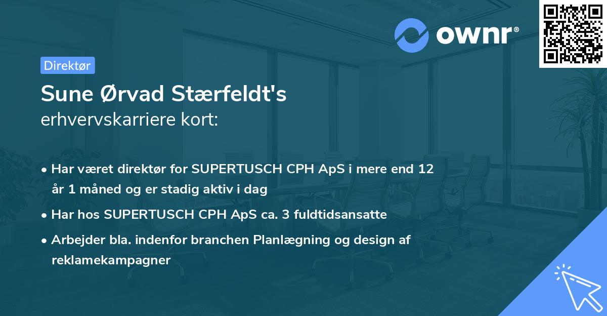 Sune Ørvad Stærfeldt's erhvervskarriere kort