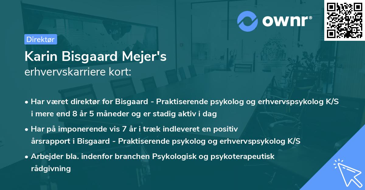 Karin Bisgaard Mejer's erhvervskarriere kort