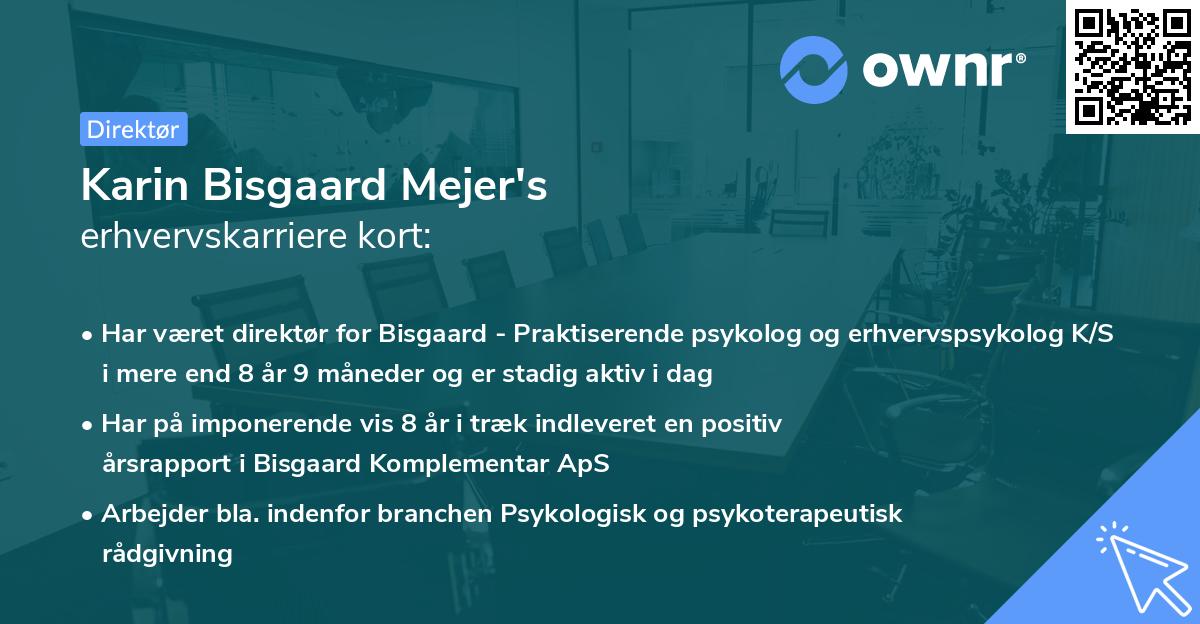 Karin Bisgaard Mejer's erhvervskarriere kort