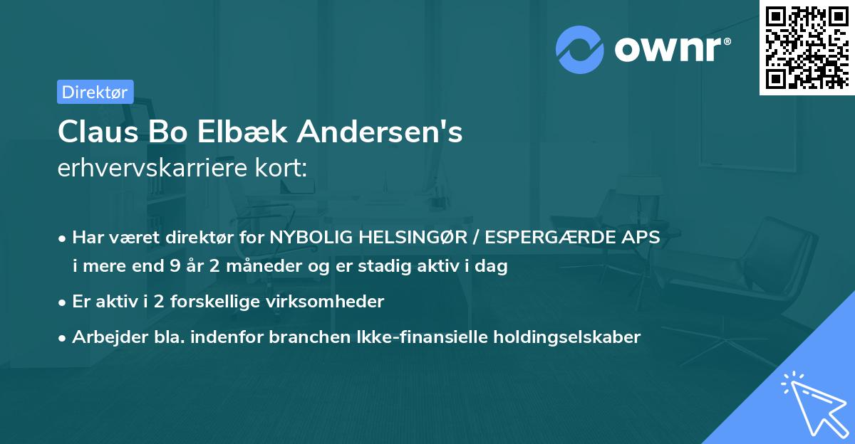 Claus Bo Elbæk Andersen's erhvervskarriere kort