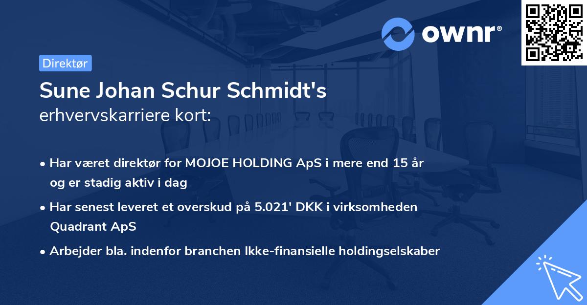 Sune Johan Schur Schmidt's erhvervskarriere kort