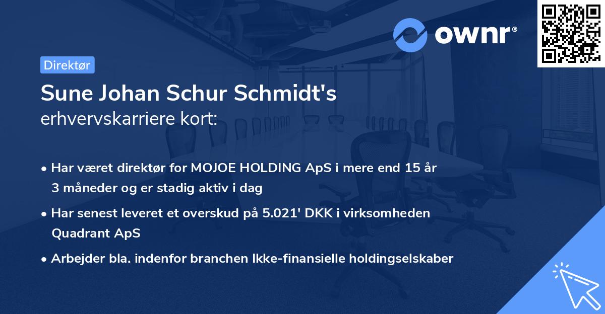 Sune Johan Schur Schmidt's erhvervskarriere kort
