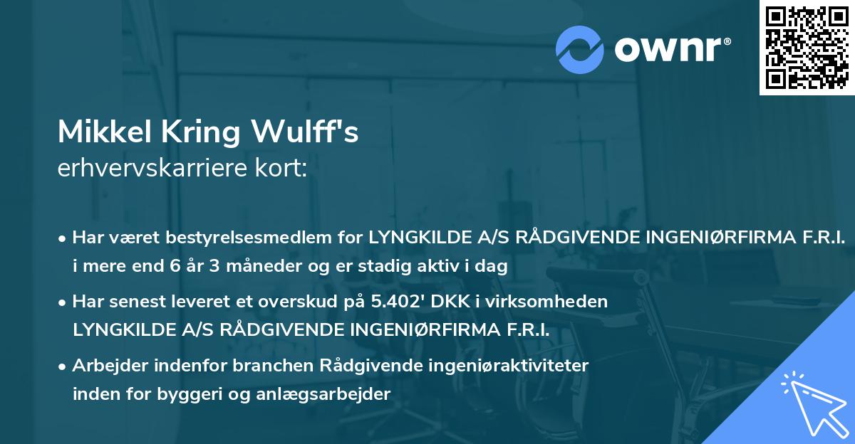 Mikkel Kring Wulff's erhvervskarriere kort