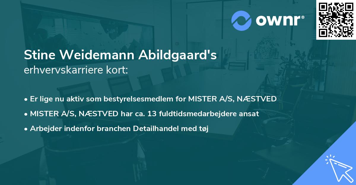 Stine Weidemann Abildgaard's erhvervskarriere kort