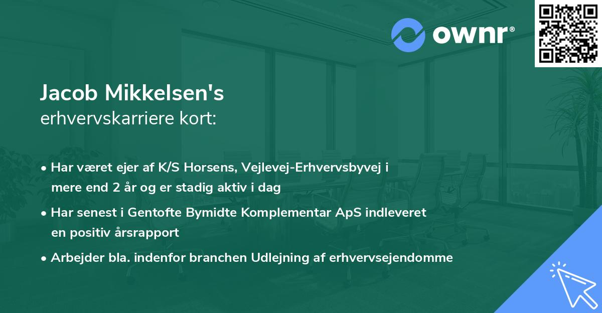 Jacob Mikkelsen's erhvervskarriere kort