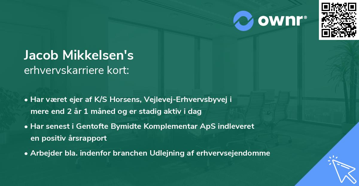 Jacob Mikkelsen's erhvervskarriere kort