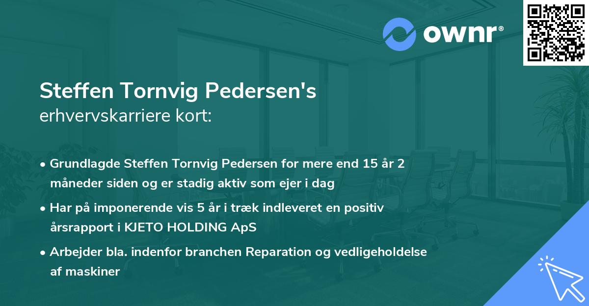 Steffen Tornvig Pedersen's erhvervskarriere kort