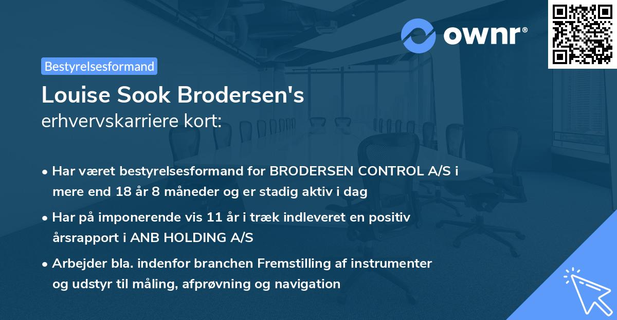 Louise Sook Brodersen's erhvervskarriere kort