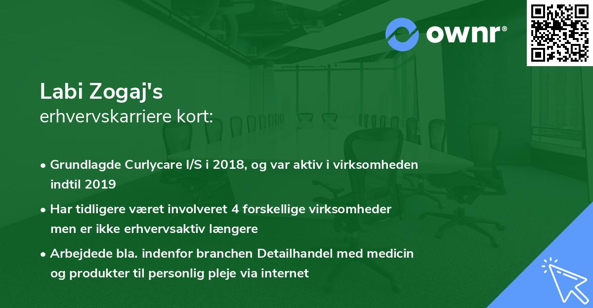 Labi Zogaj's erhvervskarriere kort