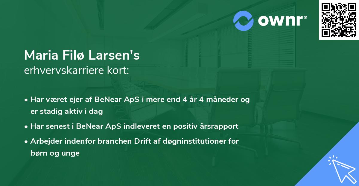 Maria Filø Larsen's erhvervskarriere kort