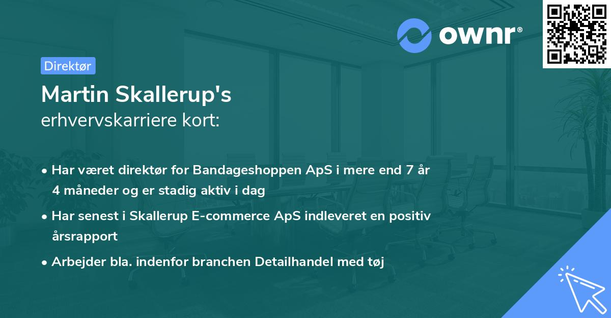 Martin Skallerup's erhvervskarriere kort