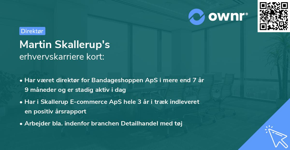 Martin Skallerup's erhvervskarriere kort