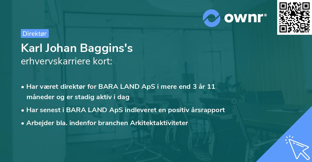 Karl Johan Baggins's erhvervskarriere kort
