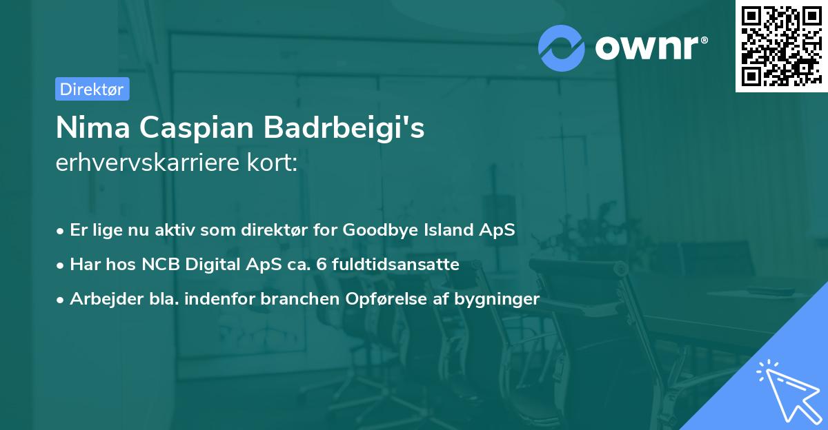 Nima Caspian Badrbeigi's erhvervskarriere kort
