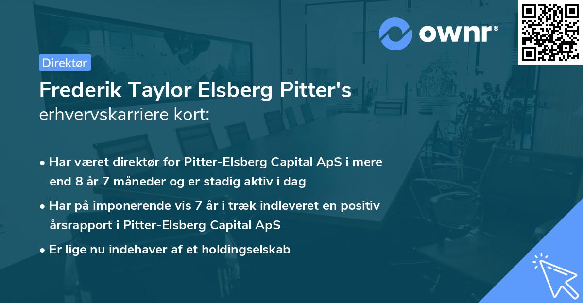 Frederik Taylor Elsberg Pitter's erhvervskarriere kort