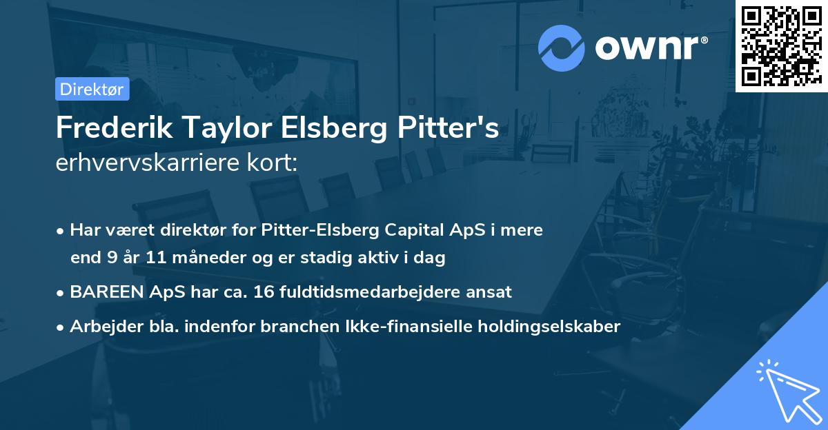 Frederik Taylor Elsberg Pitter's erhvervskarriere kort