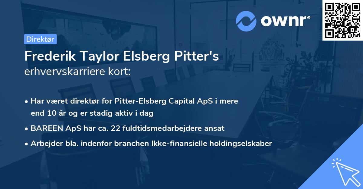 Frederik Taylor Elsberg Pitter's erhvervskarriere kort