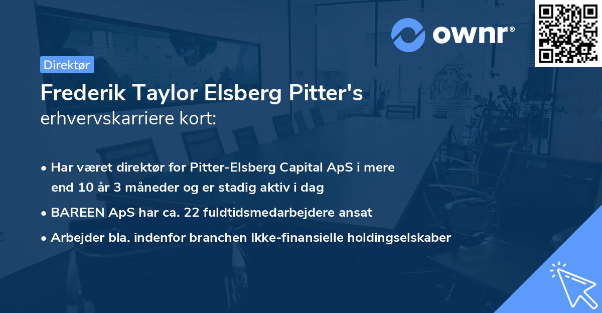 Frederik Taylor Elsberg Pitter's erhvervskarriere kort