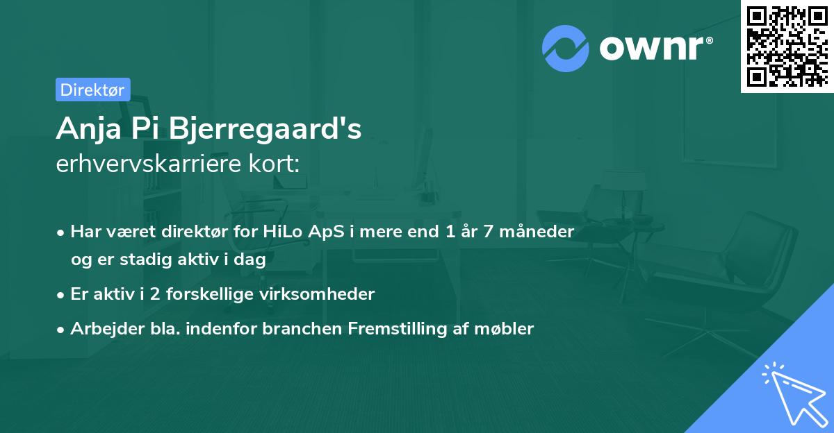 Anja Pi Bjerregaard's erhvervskarriere kort