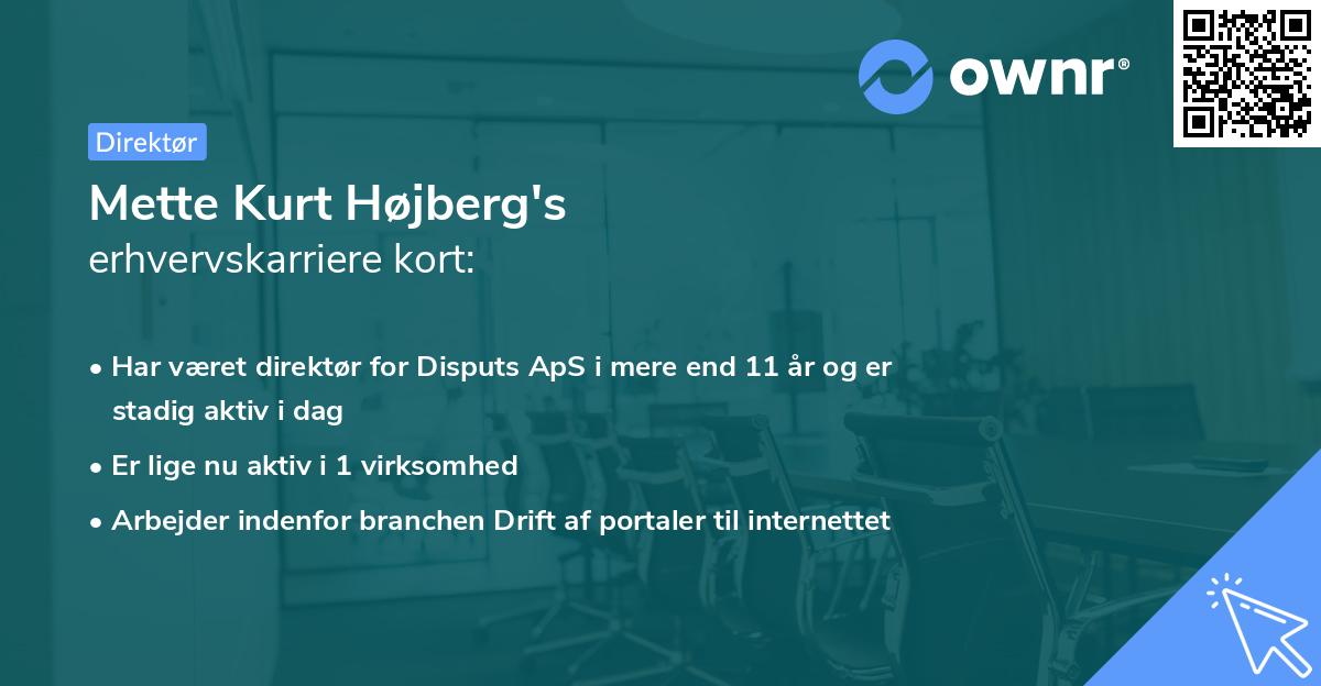 Mette Kurt Højberg's erhvervskarriere kort