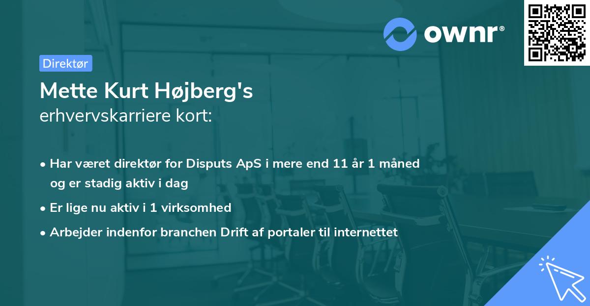 Mette Kurt Højberg's erhvervskarriere kort