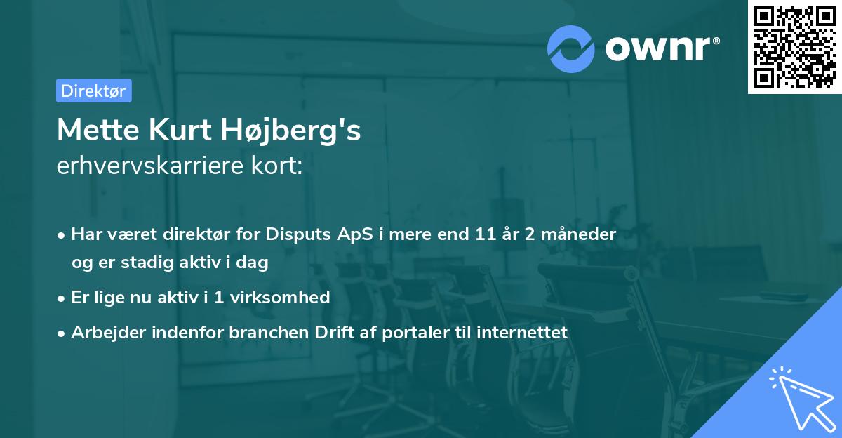 Mette Kurt Højberg's erhvervskarriere kort