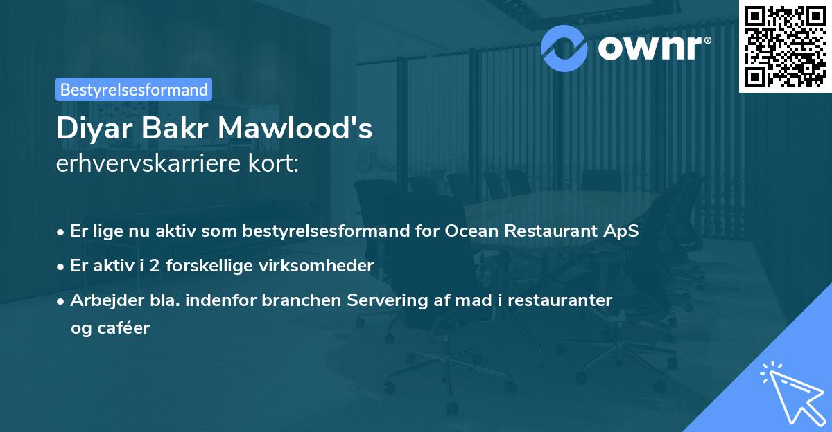 Diyar Bakr Mawlood's erhvervskarriere kort