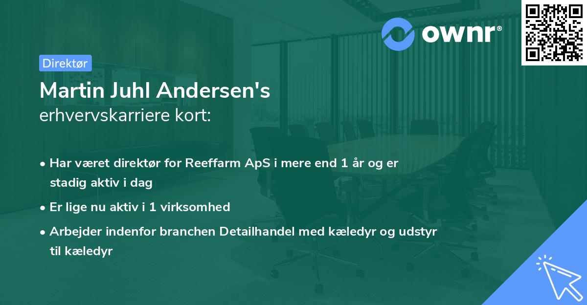 Martin Juhl Andersen's erhvervskarriere kort