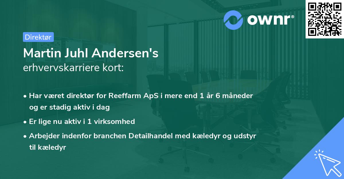 Martin Juhl Andersen's erhvervskarriere kort