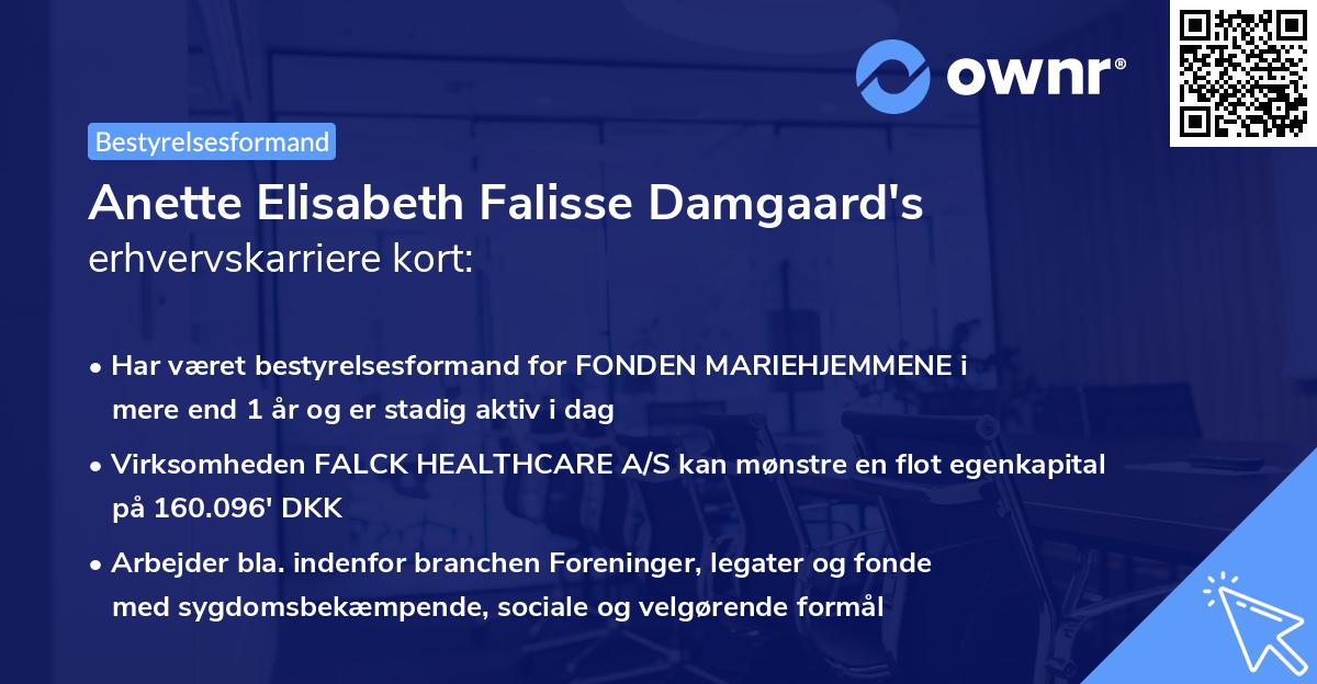 Anette Elisabeth Falisse Damgaard's erhvervskarriere kort