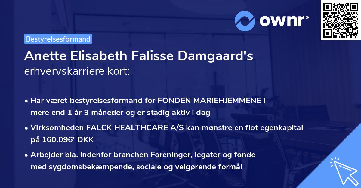 Anette Elisabeth Falisse Damgaard's erhvervskarriere kort