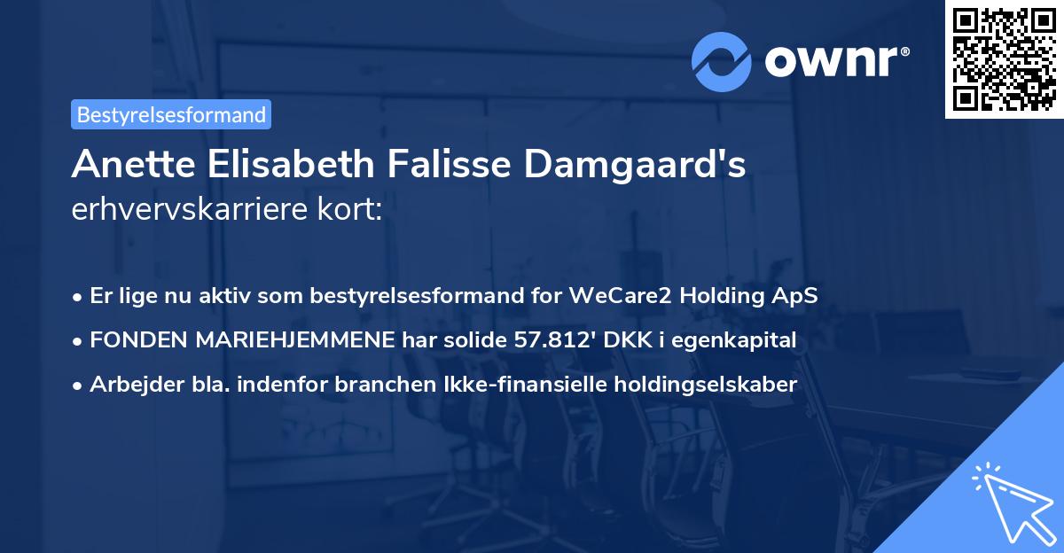 Anette Elisabeth Falisse Damgaard's erhvervskarriere kort