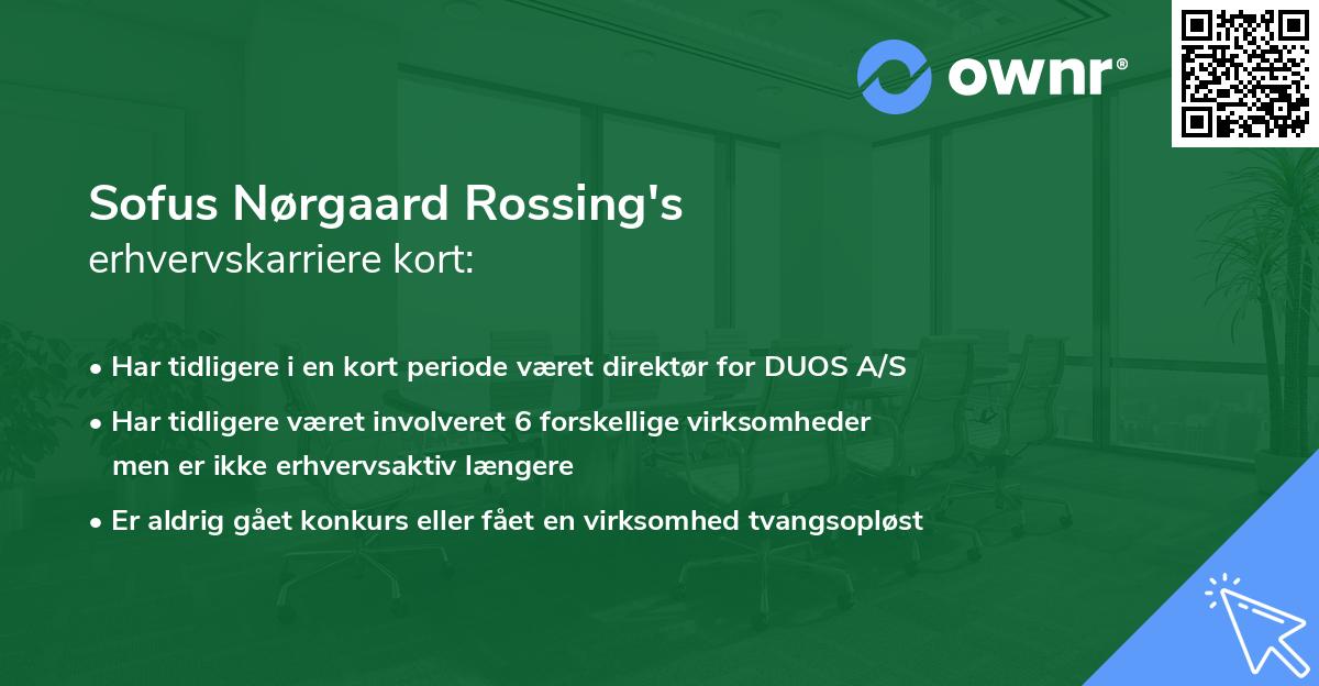 Sofus Nørgaard Rossing's erhvervskarriere kort