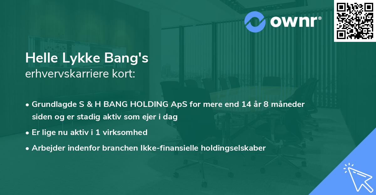 Helle Lykke Bang's erhvervskarriere kort
