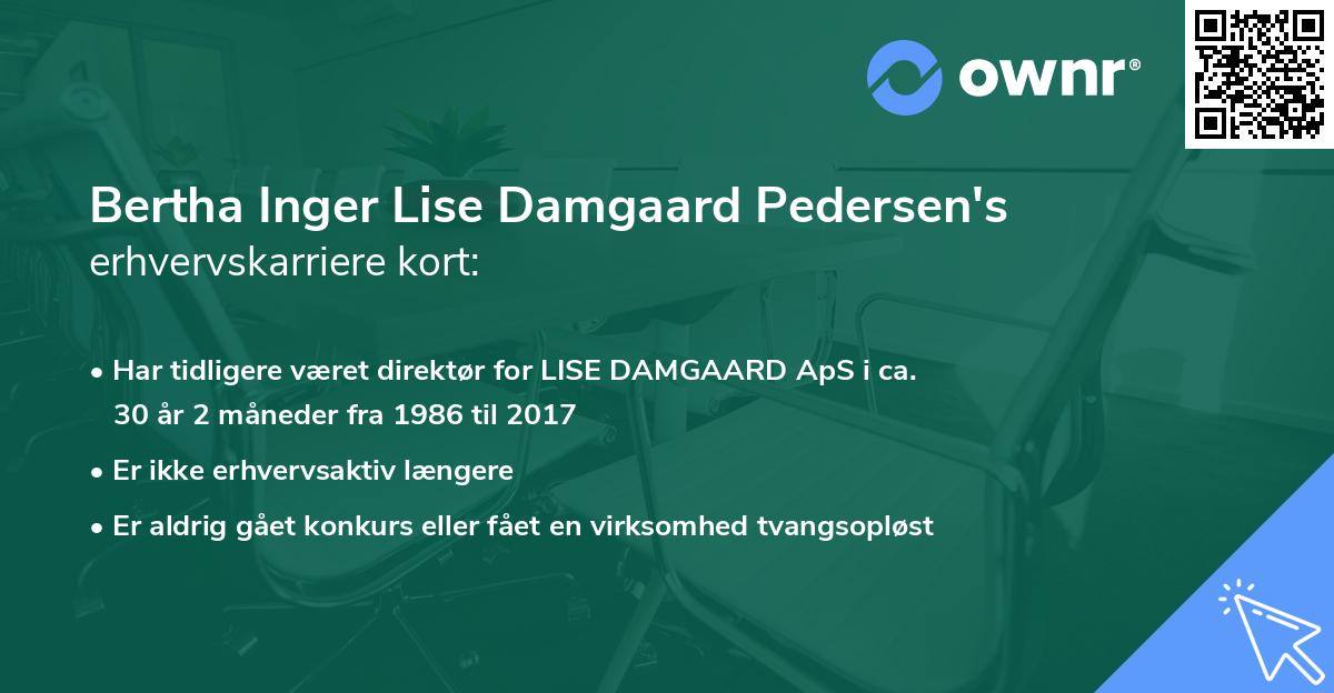 Bertha Inger Lise Damgaard Pedersen's erhvervskarriere kort