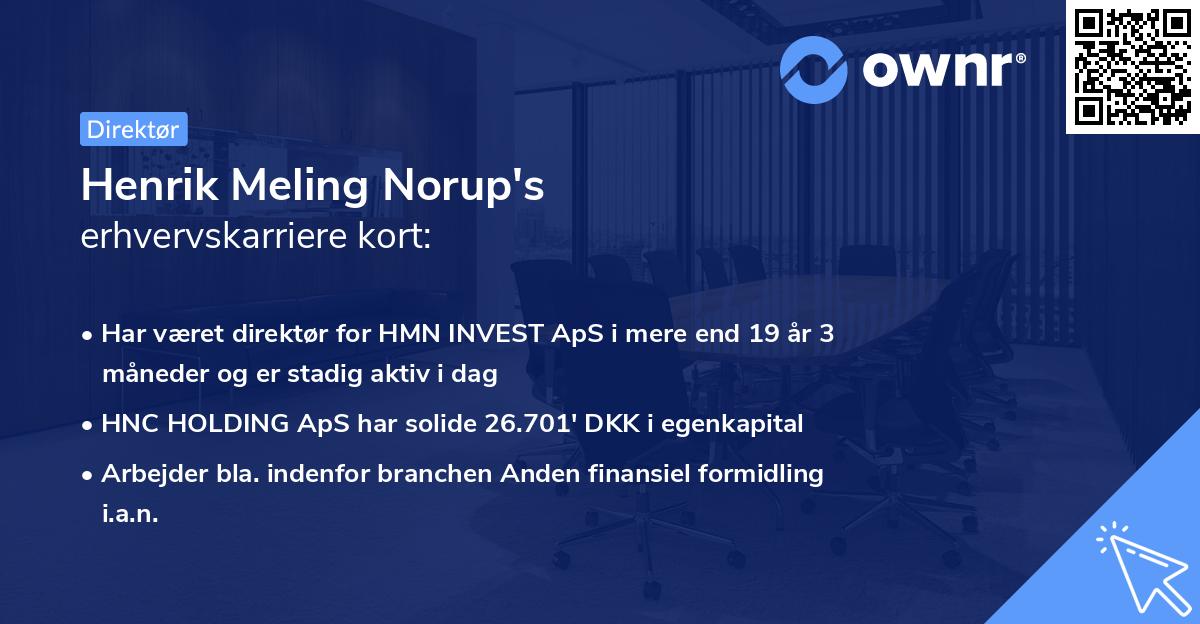 Henrik Meling Norup's erhvervskarriere kort