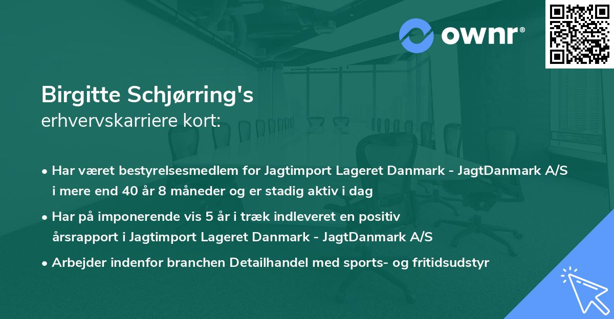 Birgitte Schjørring's erhvervskarriere kort