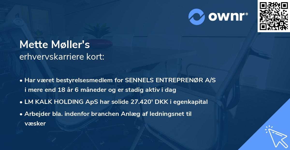 Mette Møller's erhvervskarriere kort