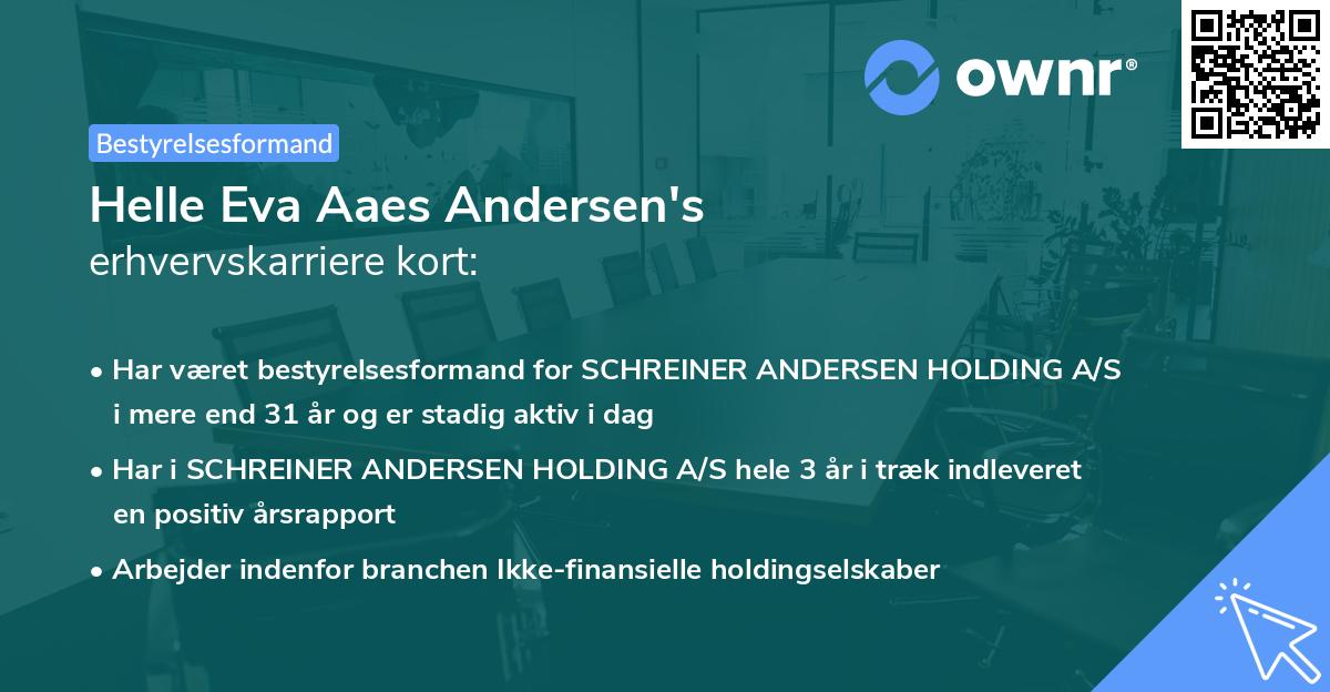 Helle Eva Aaes Andersen's erhvervskarriere kort