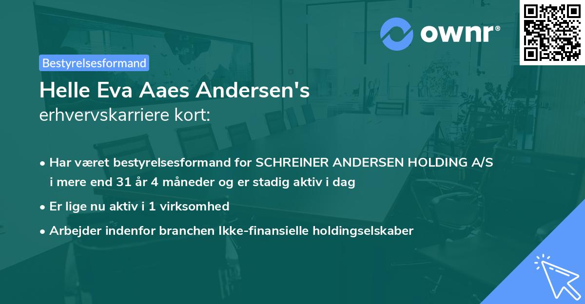 Helle Eva Aaes Andersen's erhvervskarriere kort