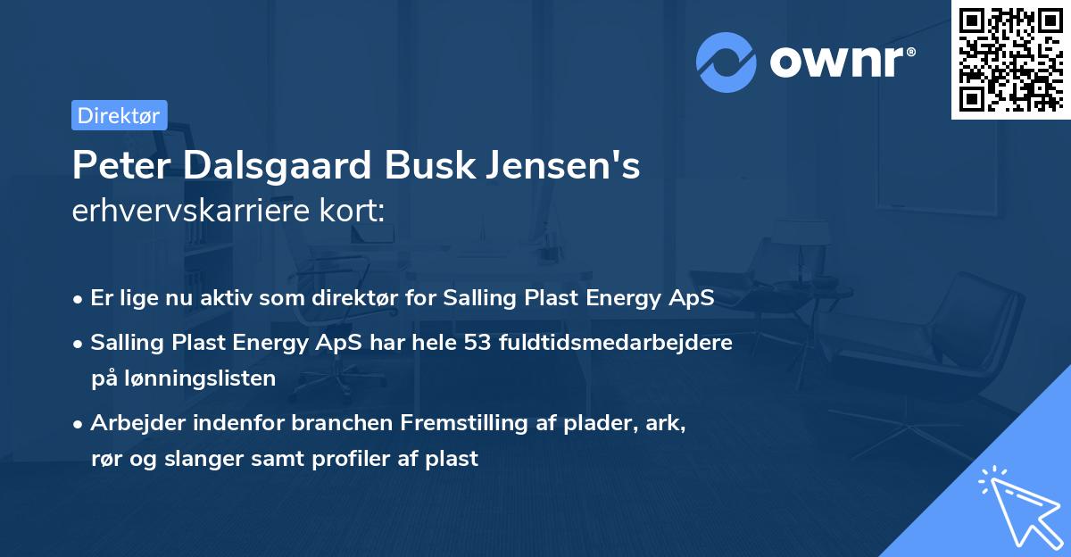 Peter Dalsgaard Busk Jensen's erhvervskarriere kort