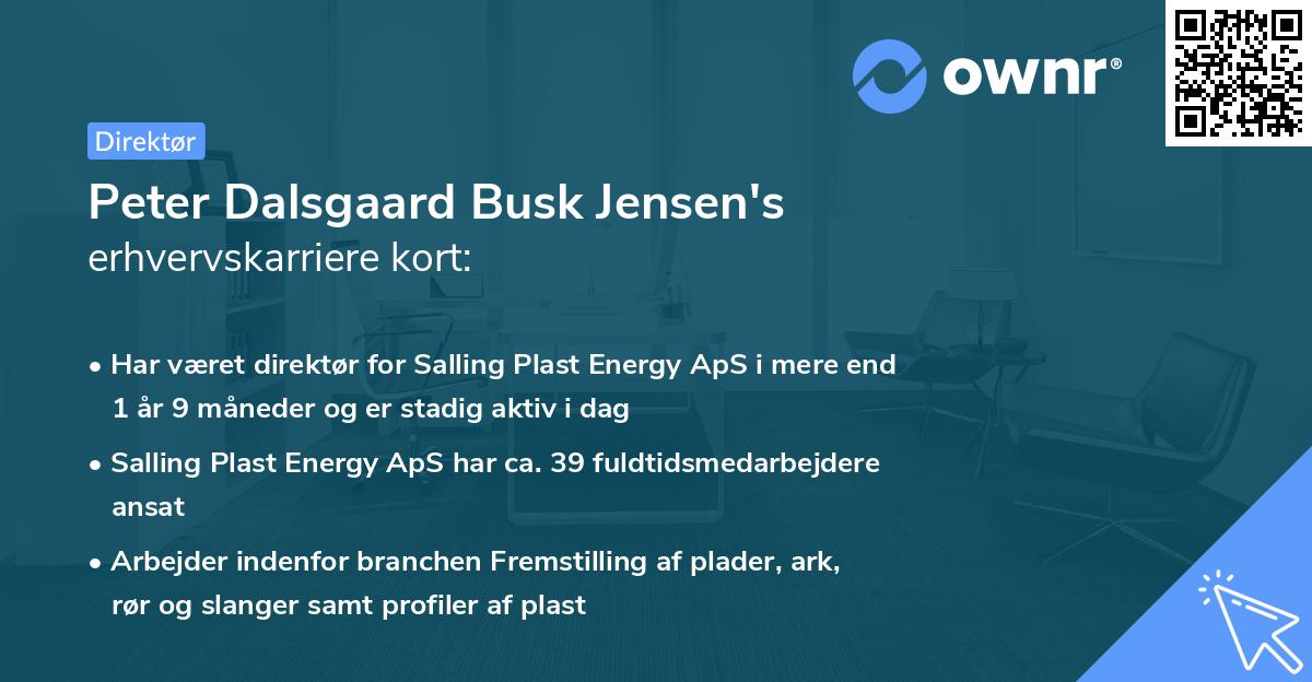 Peter Dalsgaard Busk Jensen's erhvervskarriere kort