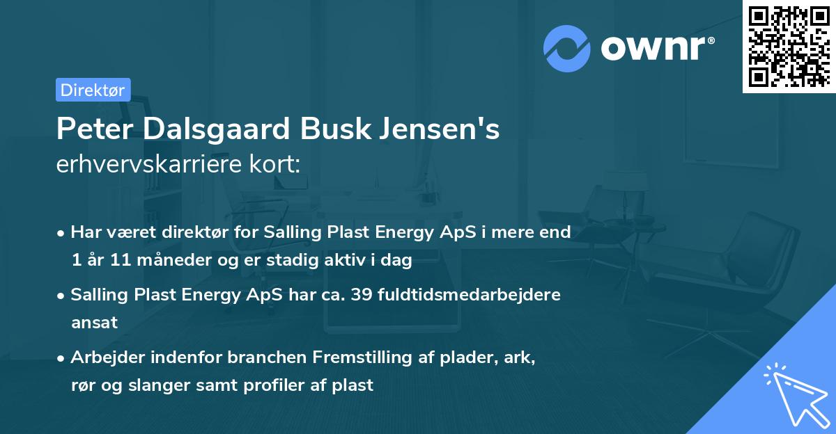 Peter Dalsgaard Busk Jensen's erhvervskarriere kort