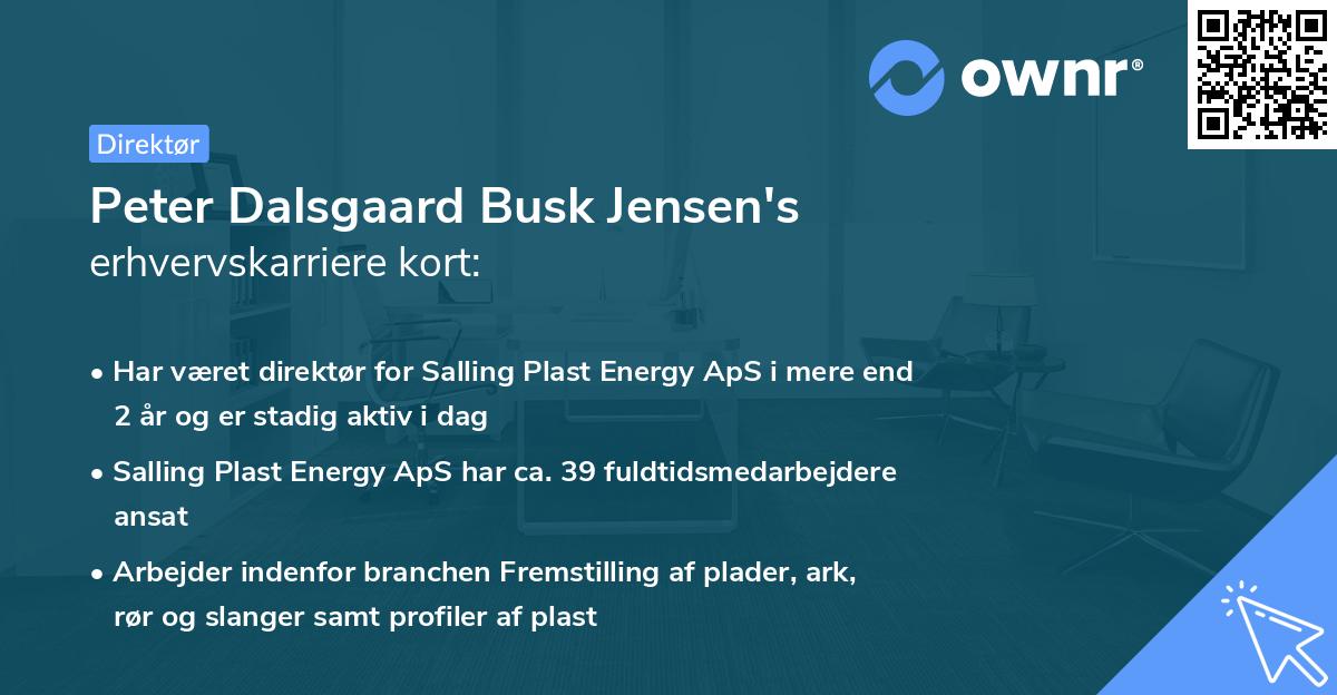 Peter Dalsgaard Busk Jensen's erhvervskarriere kort