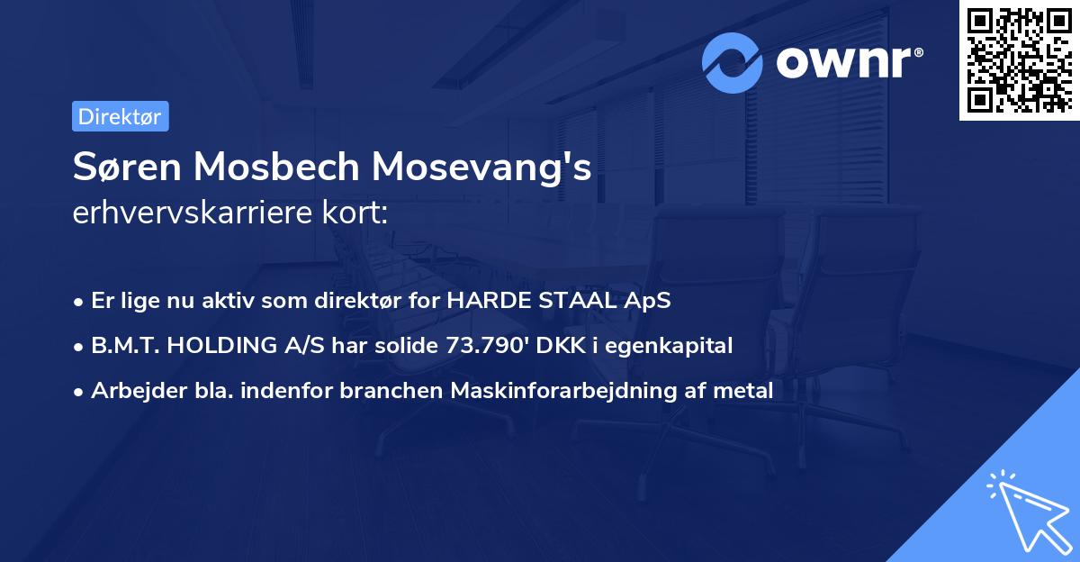 Søren Mosbech Mosevang's erhvervskarriere kort