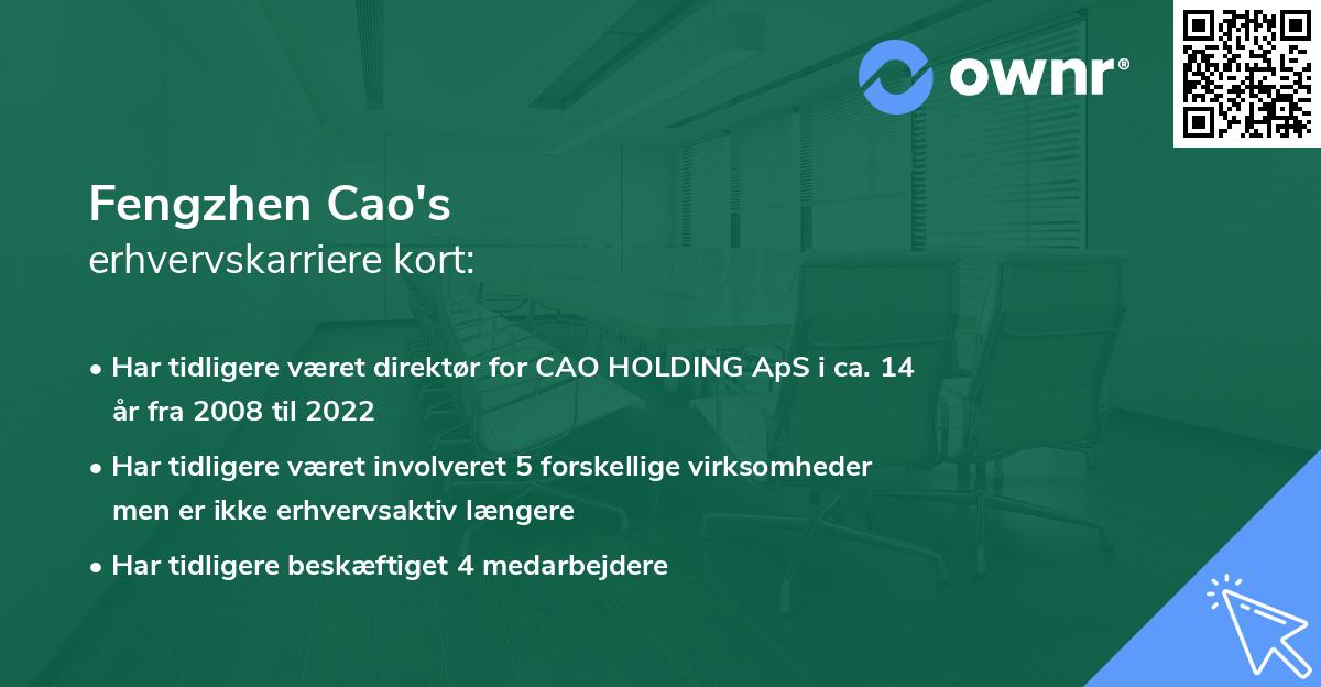 Fengzhen Cao's erhvervskarriere kort