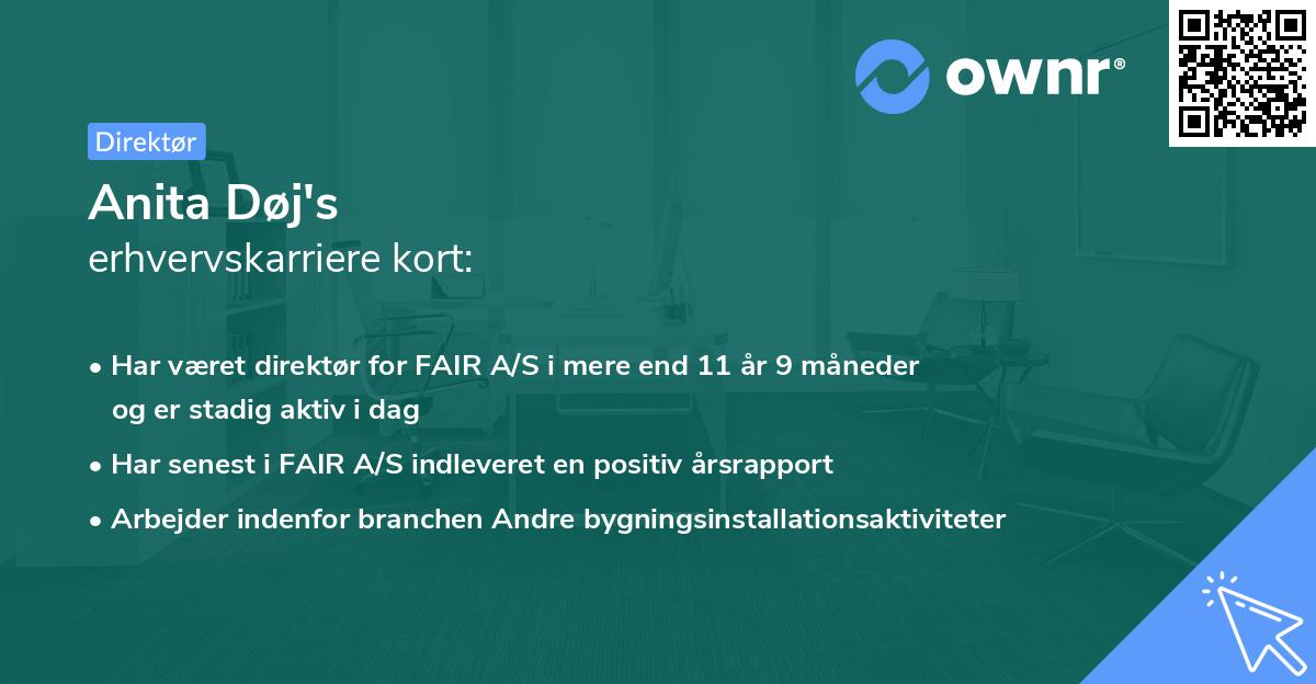 Anita Døj's erhvervskarriere kort