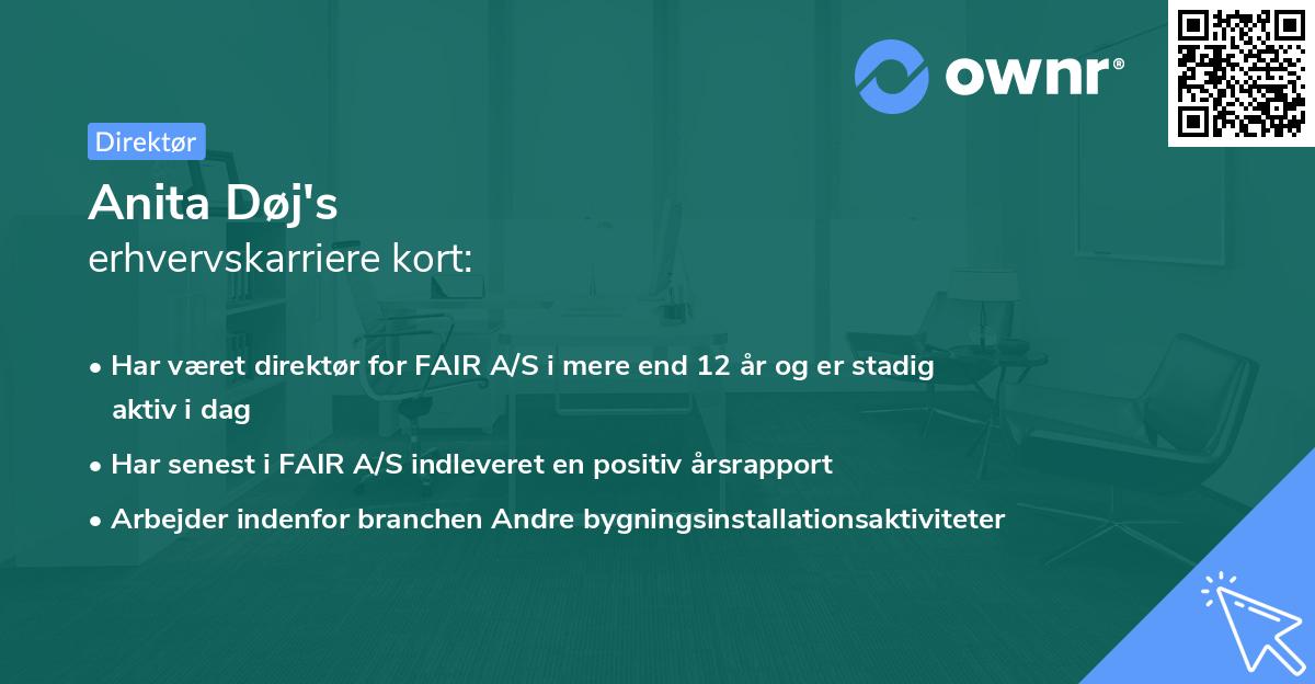 Anita Døj's erhvervskarriere kort