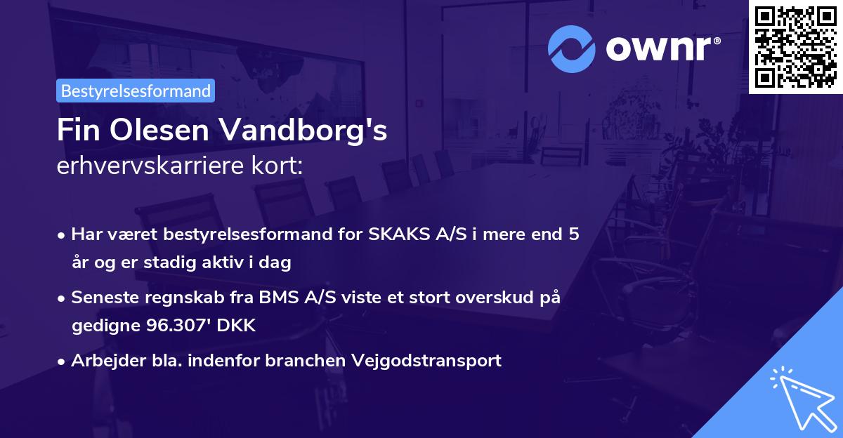 Fin Olesen Vandborg's erhvervskarriere kort